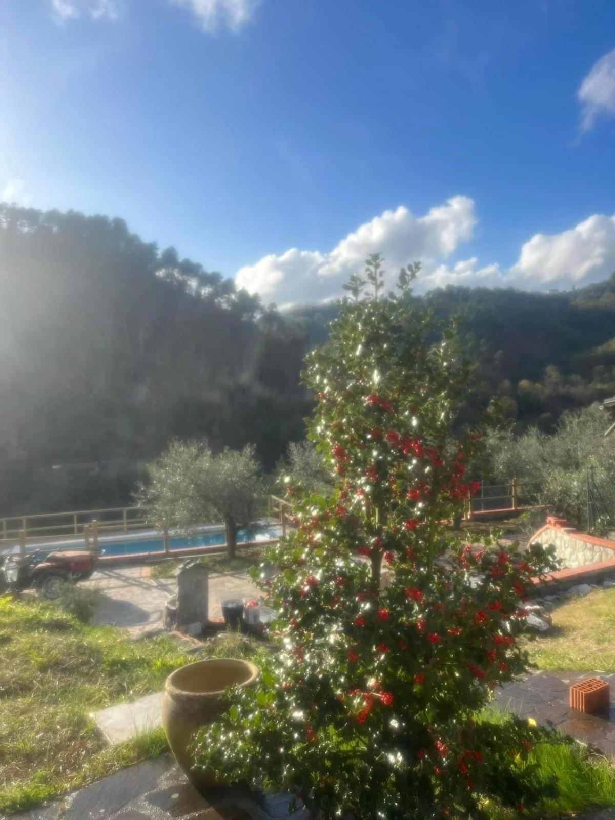 Podere Il Glicine Wellness Charme & Relax Fresonara  Bagian luar foto